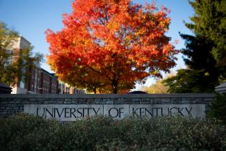 Fall Tree with UK wall