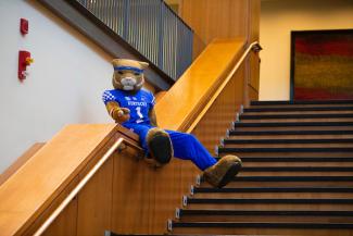 UK Wildcat sliding down railing