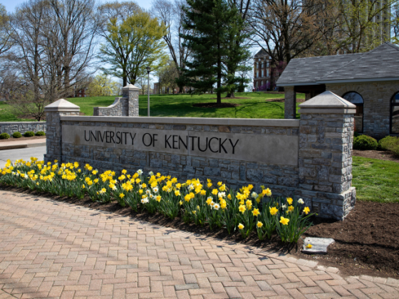 University of Kentucky stone wall
